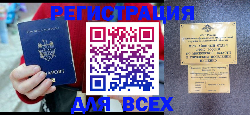 где прописаться в Каргополе